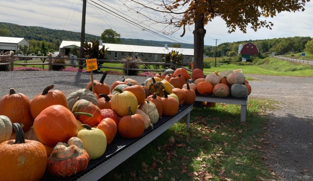 2023 Finger Lakes Fall Festivals October Things to Do in Autumn in